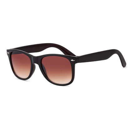 Unisex Brown Wayfair Sunglass